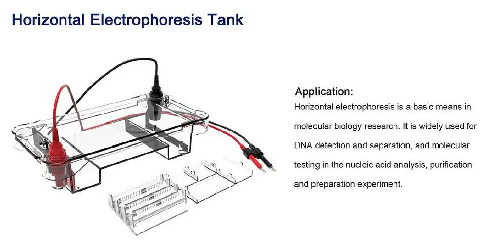CHINCAN BK-HET01 BK-HET02 Horizontal Electrophoresis Tank Cell Electrophoresis with Cheap Price
