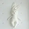 Big white rabbit