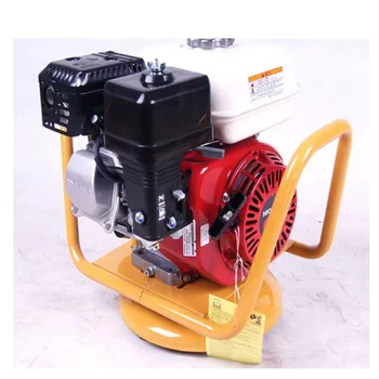 Easy Control gas Concrete Vibrator for Cement for Building House
