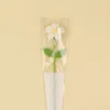 White-Large puff flower (double leaves)-With flower bag