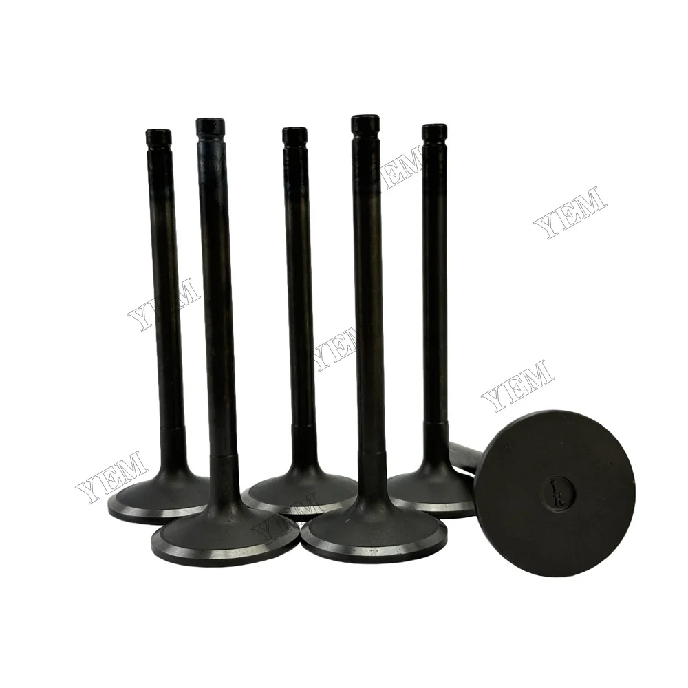 Exhaust Intake Valve Fit for Hino H07C Engine 4