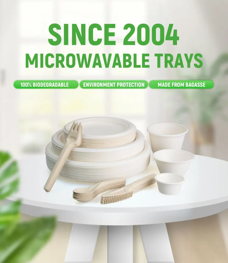 Disposable Biodegradable Plates Sugarcane Bagasse Paper Pulp Mould 6