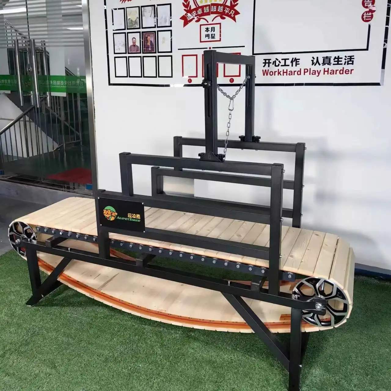 Customized Pet Fitness Solution Advanced Dog Treadmill Extra Large Manual Machine