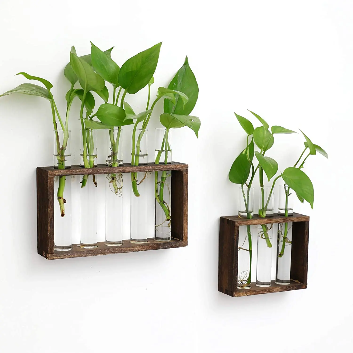 Banord Desktop Glass Terrarium Wall Hanging Glass Planter with 3 Modern Test Tubes in Wood Stand Dark Brown Tabletop Tube Container for Home Office Decoration 