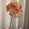 Single branch pentagonal hydrangea