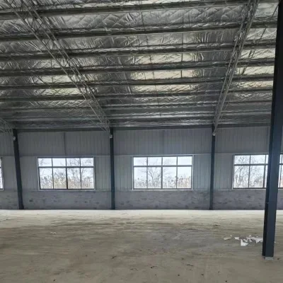 Prefab Light Steel Shed Factory Warehouse Workshop Steel Structure Building