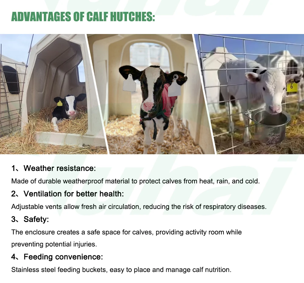 product yuhai yh af l102 new outdoor calf hutch shelter fence ventilation heavy duty design 6l feeding bucket for dairy farms-1