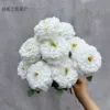 Blanc laiteux