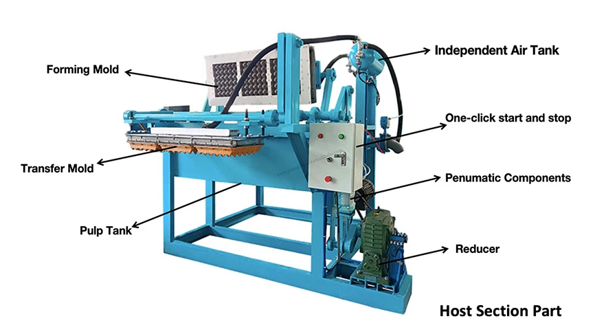 Machinery for Making Egg Trays Using Waste Pulp and Sugarcane Bagasse Hot Selling in China supplier