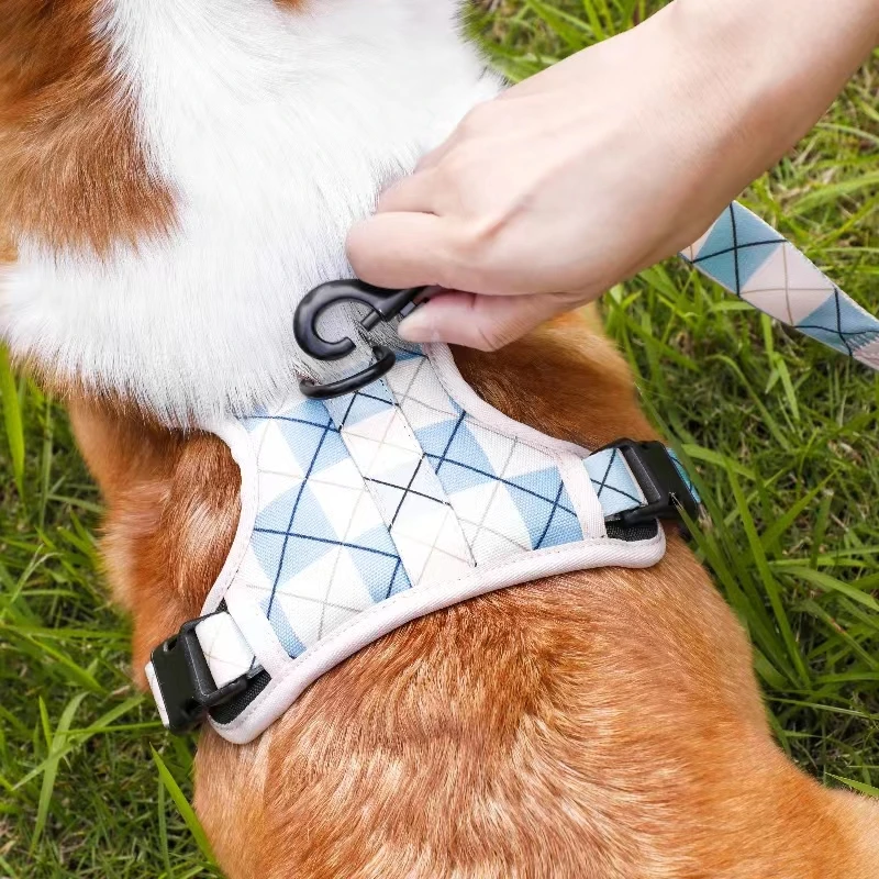 Dog Accessories Wholesale Dog Harness Set Hot Sell Oem Odm Manufacture