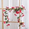 Rose rouge