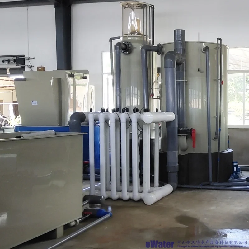 Circular Fish Farm with Tanks  for Commercial Fish Farm  Ras System Equipment Customize Indoor Ras Fish Farming