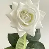 02-Blanco