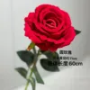 Round Rose