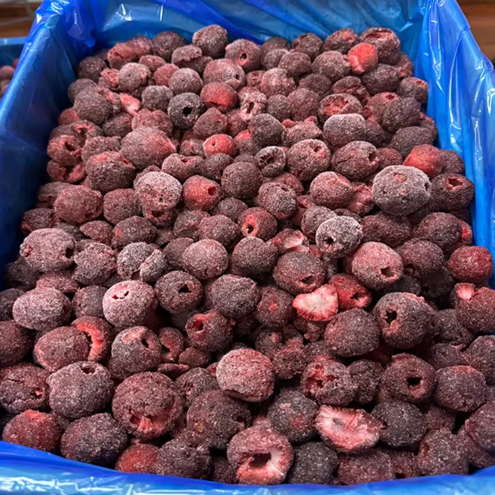 product hot sale frozen red bayberry fresh bayberry iqf bayberry wholesale frozen pitted red bayberry-4