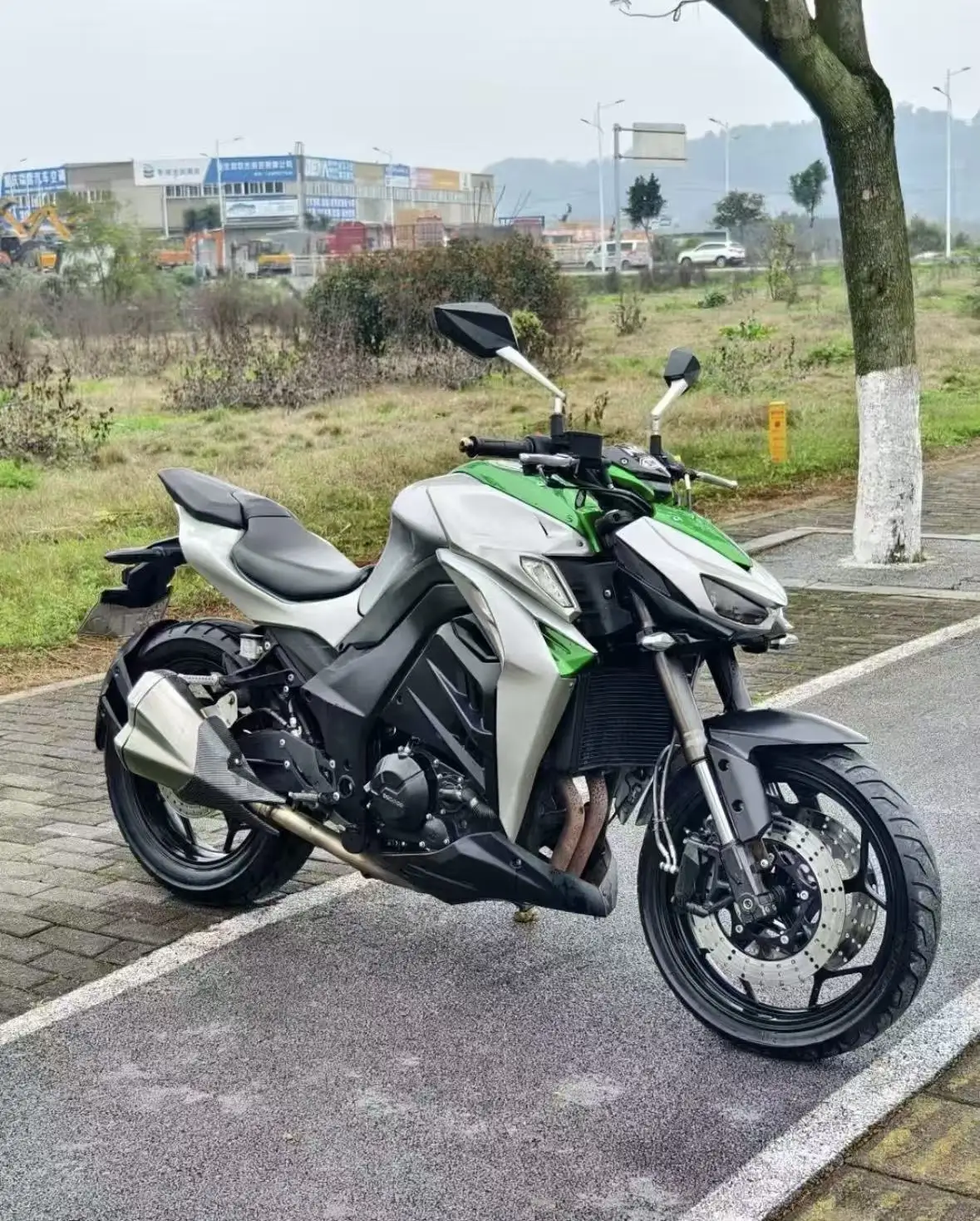 Kawasaki Z1000 N19 Big Snake Street Fighter 1000cc Liquid-cooled