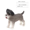 Schnauzer