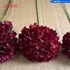 #1 hortensia burdeos-Cabeza grande 18-20cm