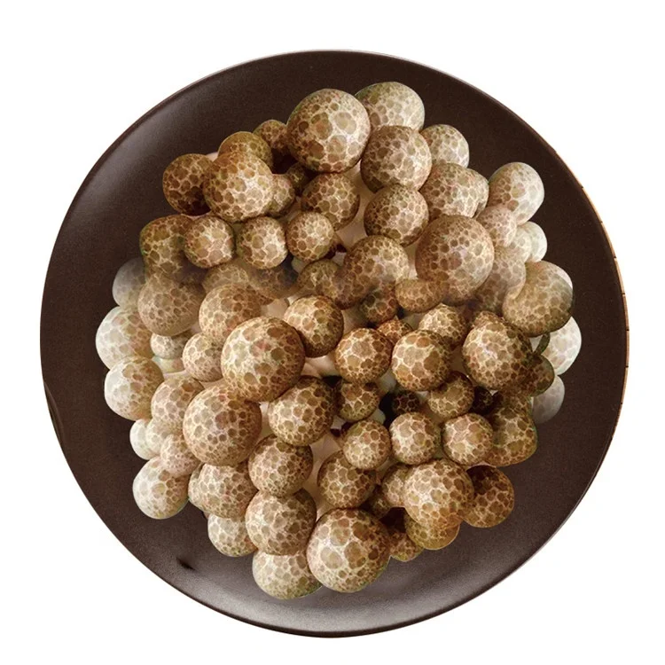 Горячая распродажа! Питательный к употреблению в пищу гриб шиитаке коричневый гриб шимеджи