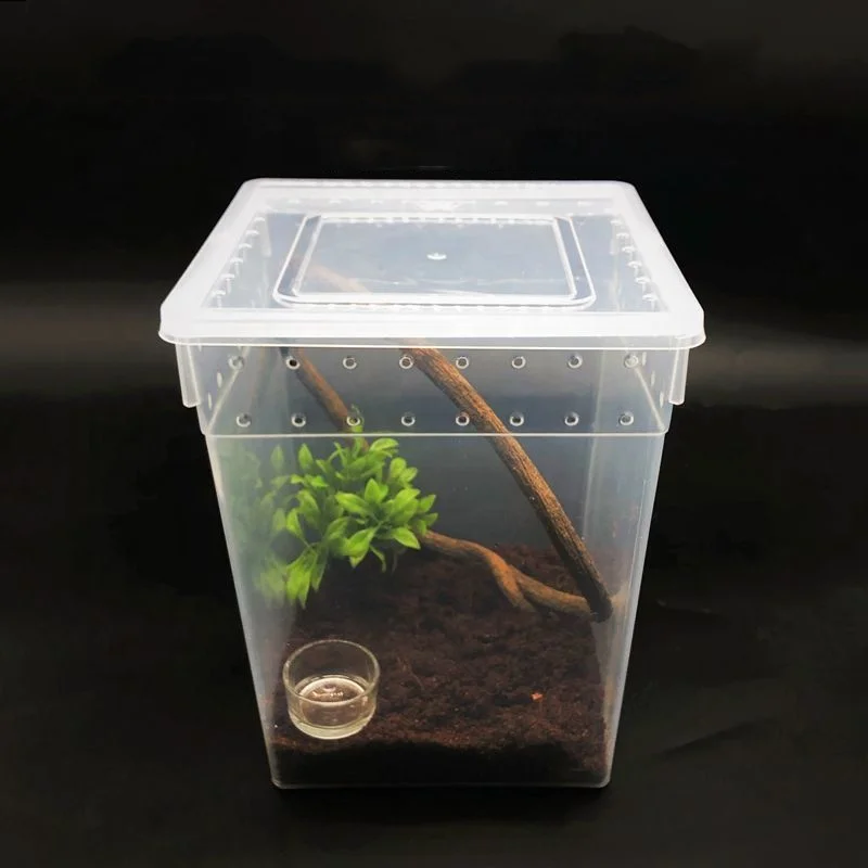 20x20x25cm大型スクエアエンクロージャー爬虫類繁殖用