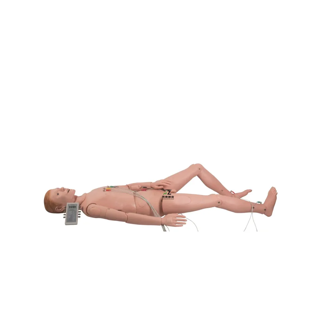 ECG Simulated Manikin for Medical Science Training