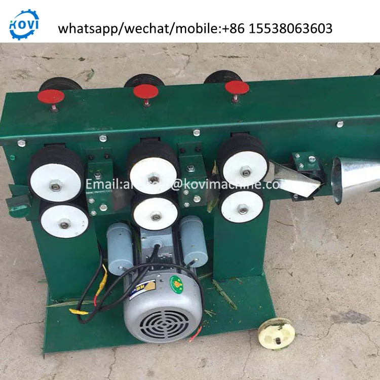 Fresh Osier Bark Debarker Machine Willow Rattan Wicker Peeler Peeling Machine Cheap Price