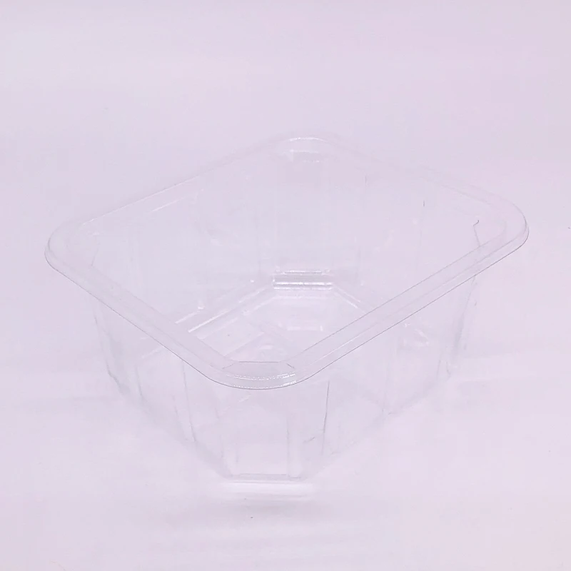 Factory price clear box disposable plastic food container customized plastic tray