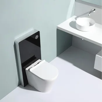 Hanging Toilet Dual Flush Concealed Cistern Wall Hung Toilet Tanks Wall ...