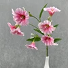 rosa scuro