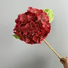 HH-Rosso