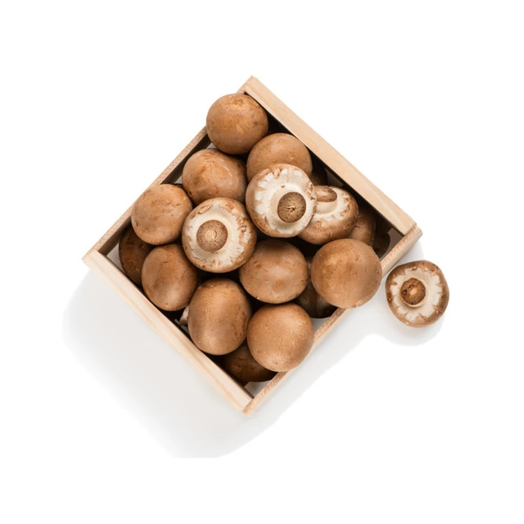 Прямая поставка, здоровая вкусная бескошковая густая соломинка для выращивания в комнате Shiitake