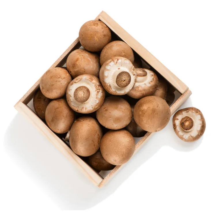 Precise Application Seasoned Good Taste Wild Magic Mushroom Dry Shiitake Slices For Household Daily Eating Food