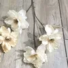 3 autumn peony champagne