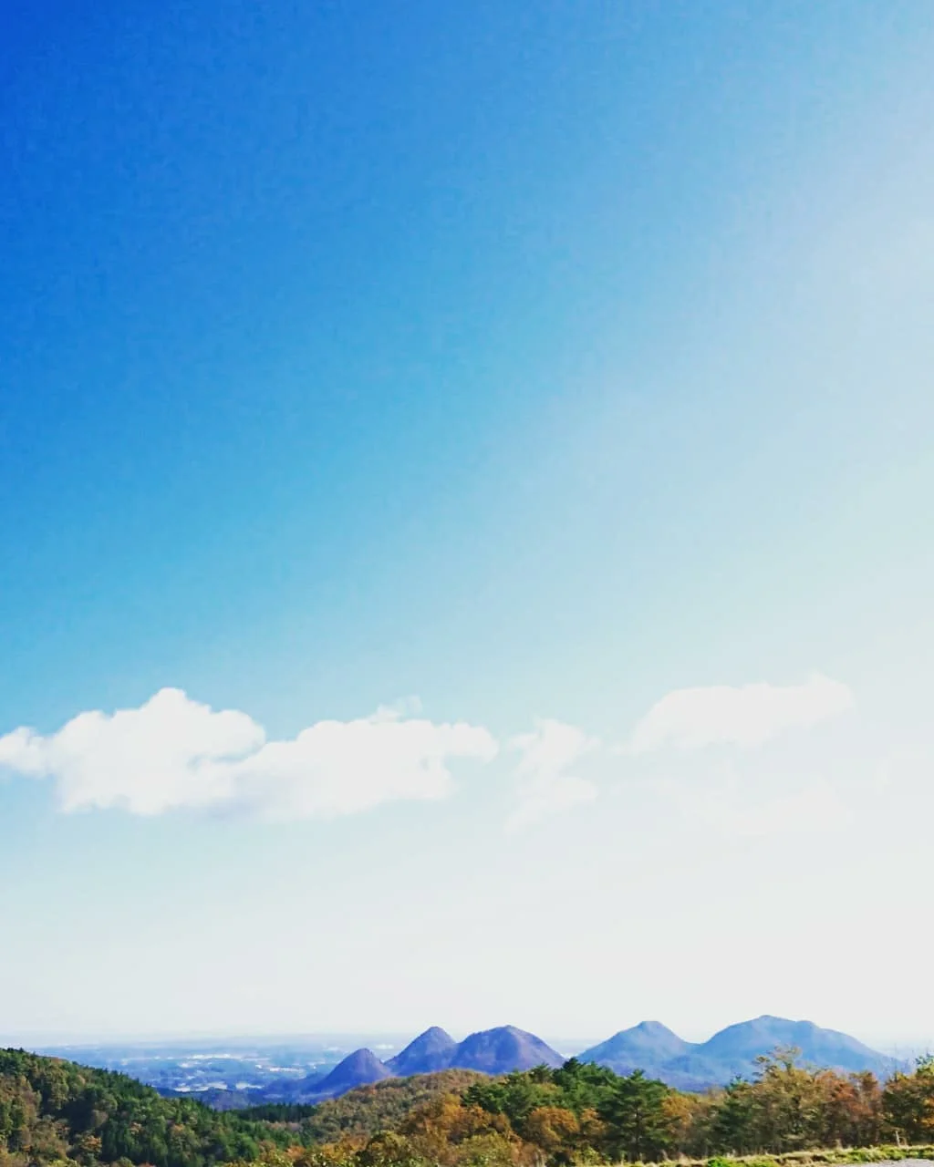 Ryomi Vineyard & Winery Zephyr Koshu Buy Ryomi Vineyard & Winery