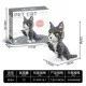 Gatto tigrato