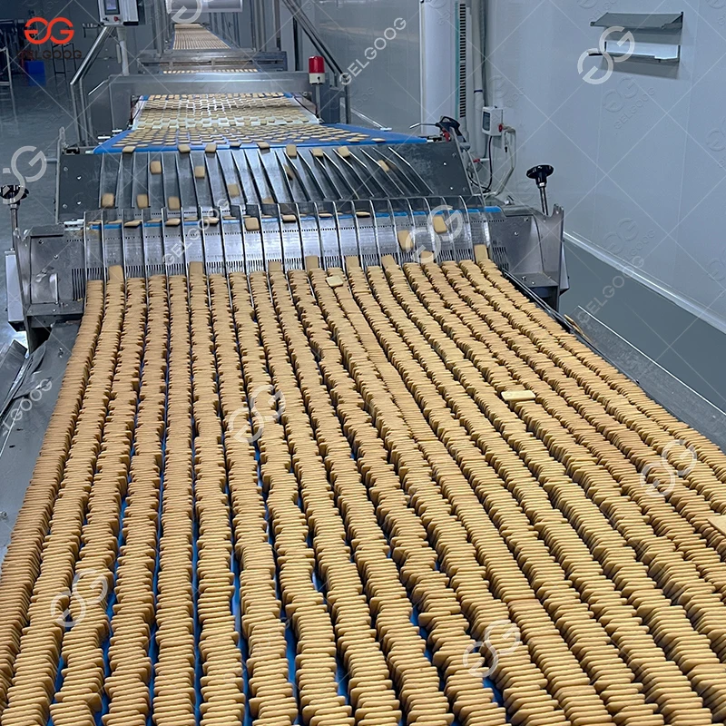 Complete Fully Automatic Hard and Soft Cookie Making Plant Round Egg Biscuit Production Line