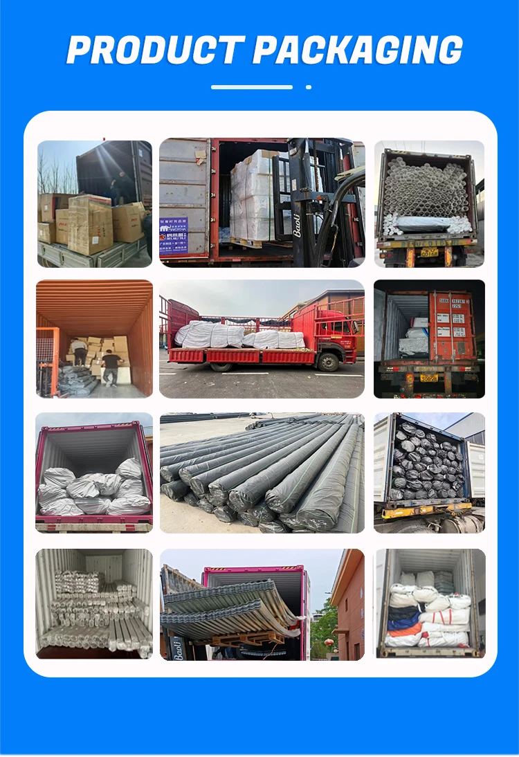 Ras System Aquaculture Equipment for Shrimp Tilapia Fish Farming in ...