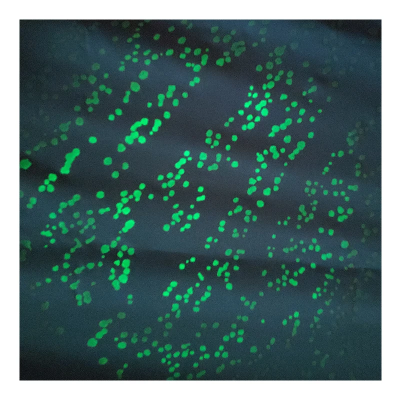 Горячая Распродажа новая технология oem светящаяся в темноте ткань полиэстер ночная