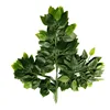 Vert 01