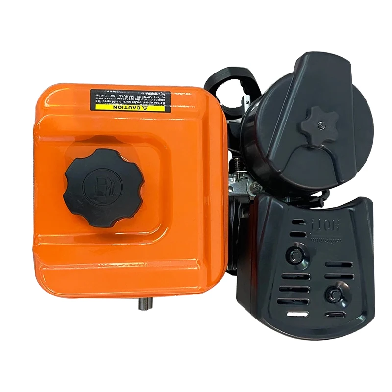 High Quality Petrol Engine 50cc Petrol Engine Car Petrol Engine Model for Machines