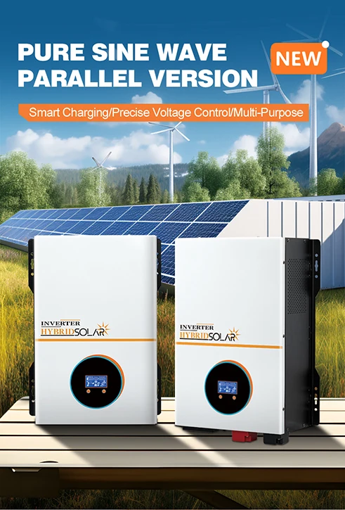 DingKeTai Off-Grid Solar Inverter Charger 4000W-6000W 48VDC 230VAC 100A ...