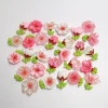 RW26182-multi