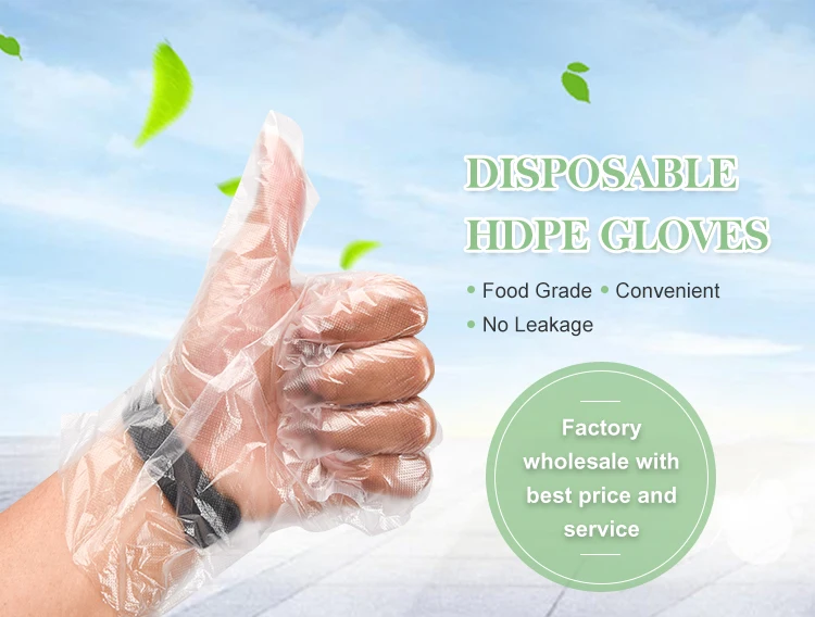 Food Handling Pe Plastic Hdpe Disposable Gloves Pe Polyethylene