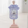 Conejo de encaje azul