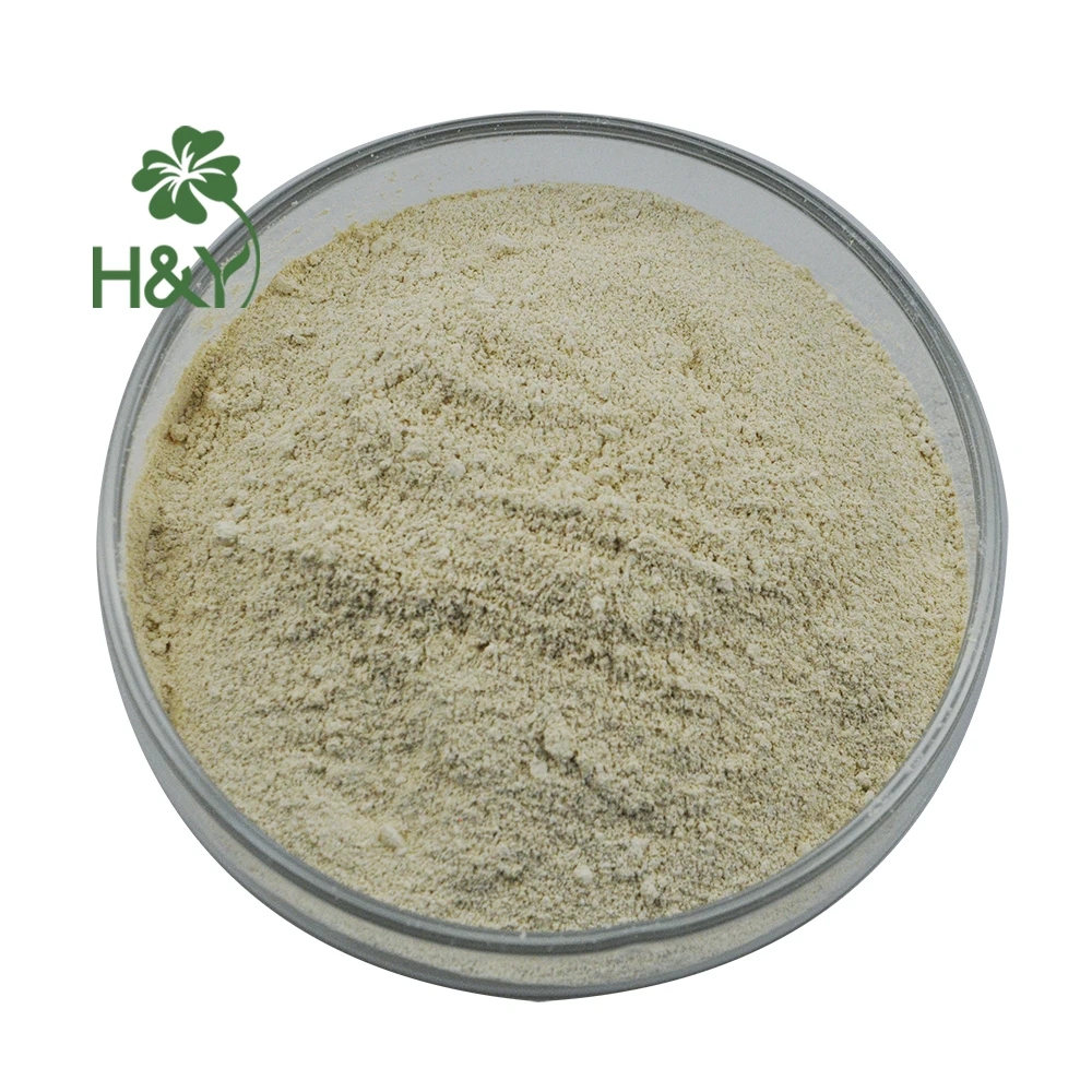 Supplement Akkermansia Muciniphila Probiotic Akkermansia Muciniphila ...