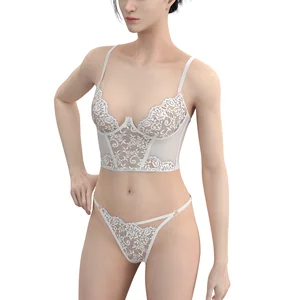 Women's Sexy Custom Lingerie Set Hot Transparent Bras Panty Lace Embroidery Rhinestone Decoration Wholesale Supply Combo Pack