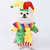 Costume da clown trasformabile verde