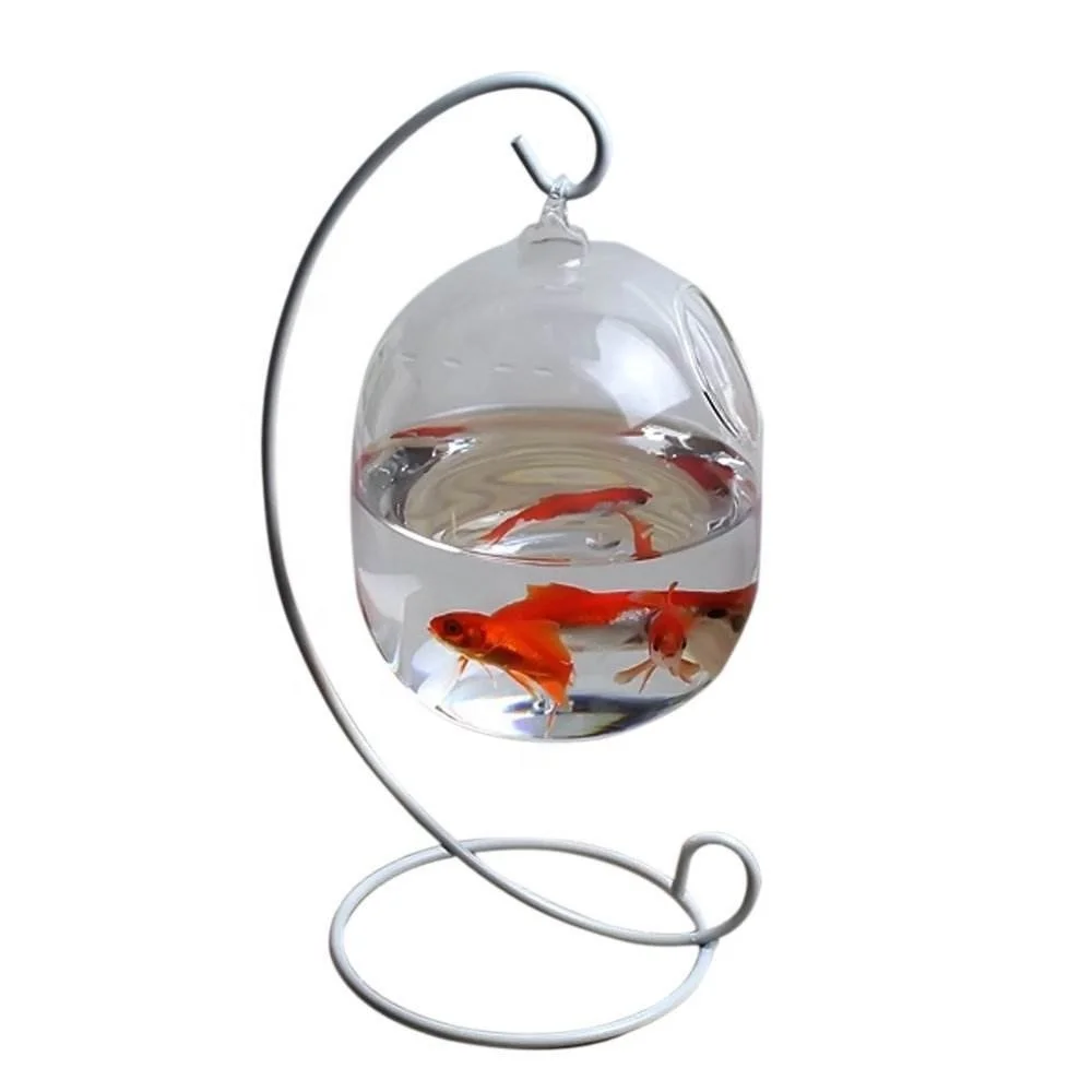 fish bowl online shopping
