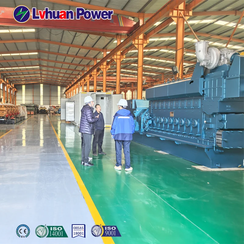 1MW Biomass Gasification Power Plant with Electric Start Water Cooling 220V/380V Output-DC Wood Gas/Rice Husk Gas Generator