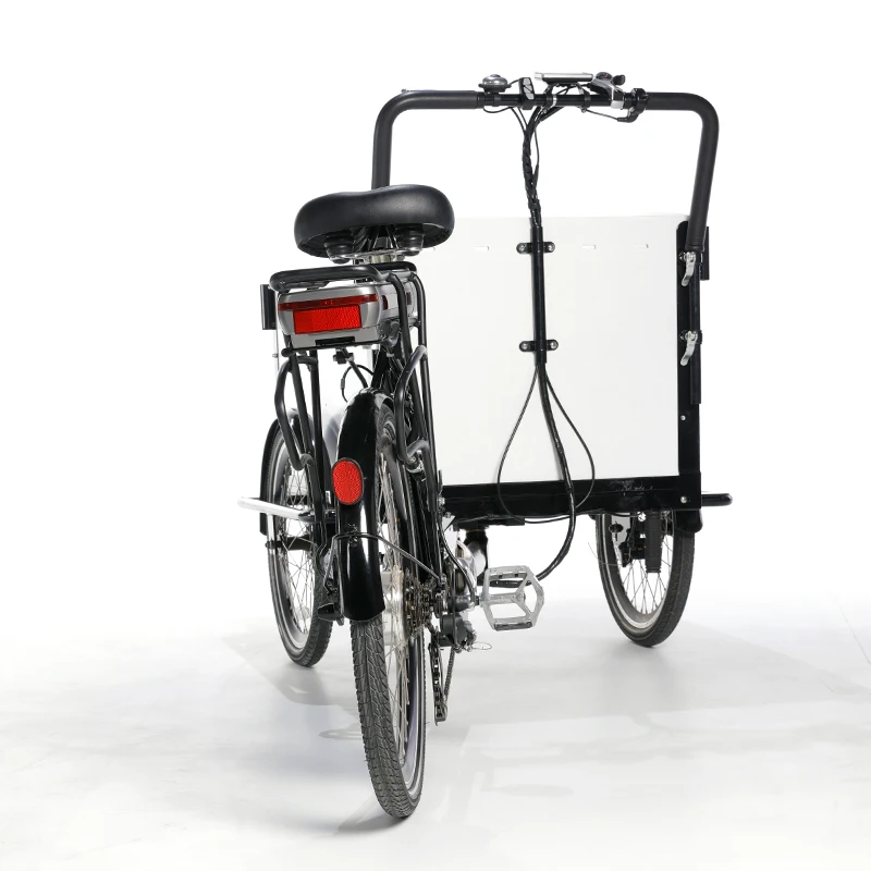 Bici Cargo Bike Bici A Ruote Elettrica Cargo Bike Elettrica Bici